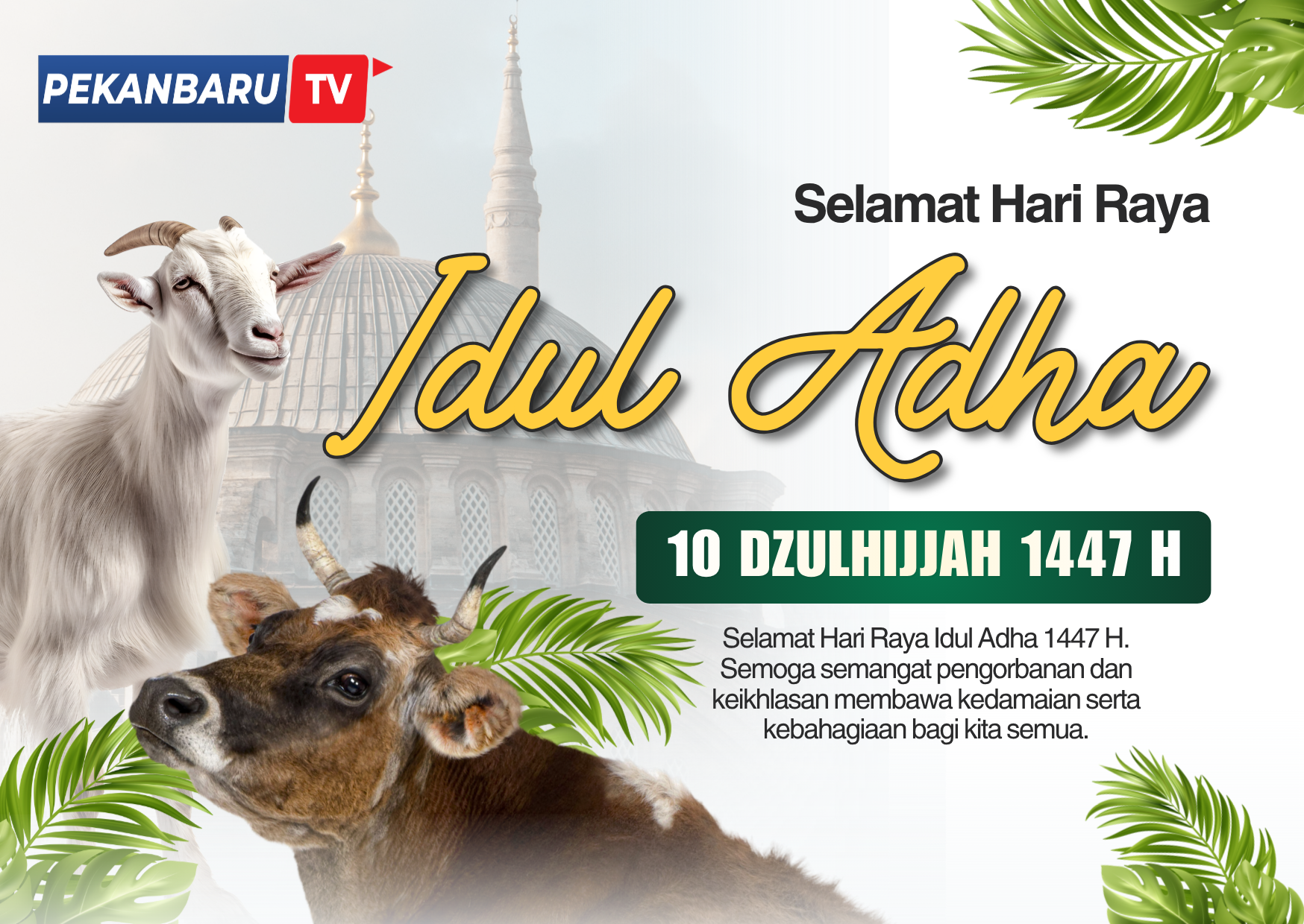 Promosi Pekanbaru TV