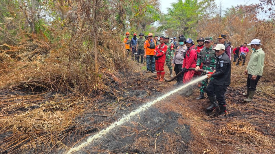 TNI-Polri Bersama Pemda Gelar Patroli Udara dan Padamkan Karhutla di Pelalawan