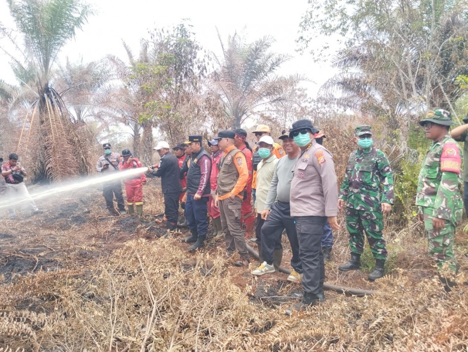Kolaborasi Polda Riau-Kodam XIX/TT dan Pemkab Berhasil Jinakkan Karhutla di Lahan Gambut Pelalawan