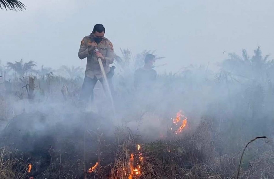 Karhutla Riau: Luas Lahan Terbakar Awal 2026 Capai 8.555 Hektare 