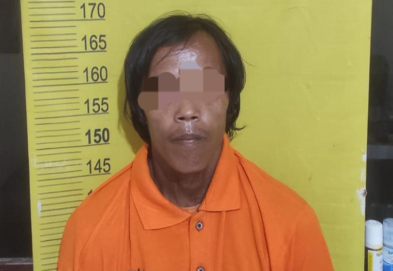 Polsek Langgam Tangkap Ayah 