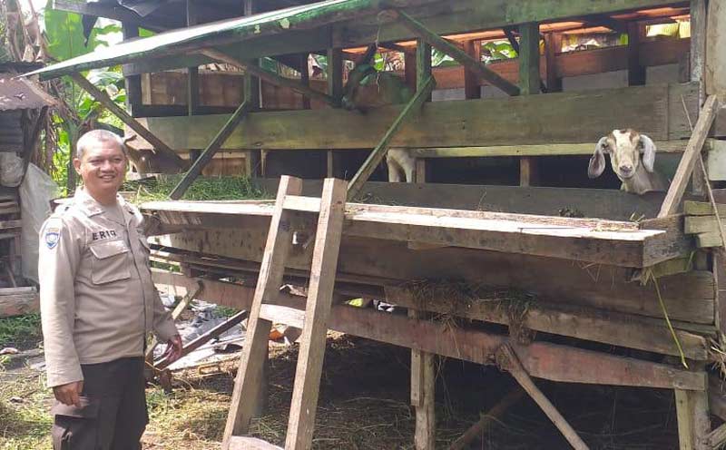 Sambangi Peternak Lokal di Tampan, Polsek Payung Sekaki Perkuat Ketahanan Pangan Warga