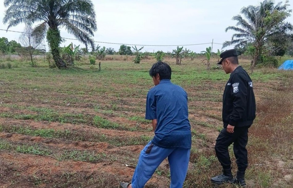 Dari Lahan Warga di Pekanbaru, Polisi dan Masyarakat Bangun Ketahanan Pangan Lewat Jagung Manis