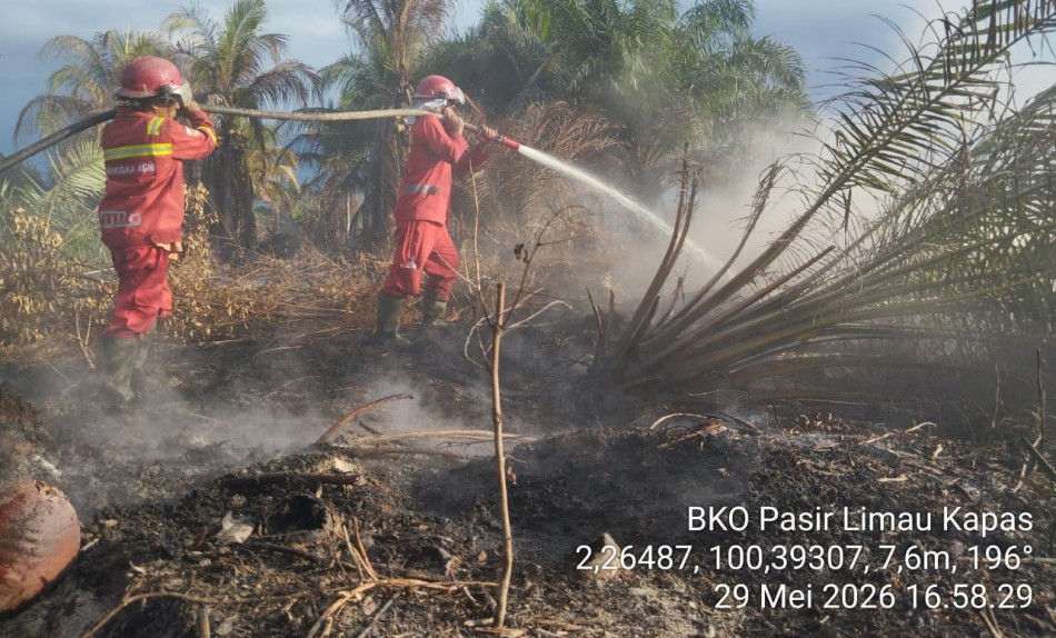 Api Gambut Masih Membara: Manggala Agni Fokus Padamkan Karhutla di Siak, Rohil dan Pelalawan