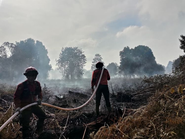Alarm Karhutla di Riau! Hotspot Melonjak Jadi 35 Titik, Rokan Hilir Paling Rawan