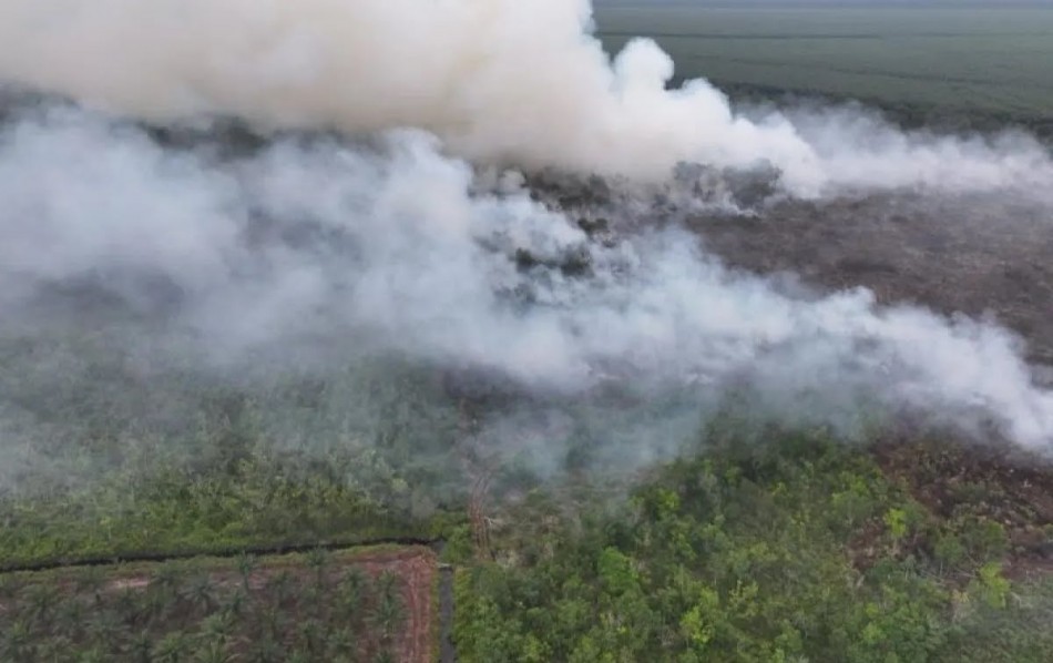Karhutla di Bengkalis dan Rohil Masih Membara, Pelalawan Berhasil Dipadamkan