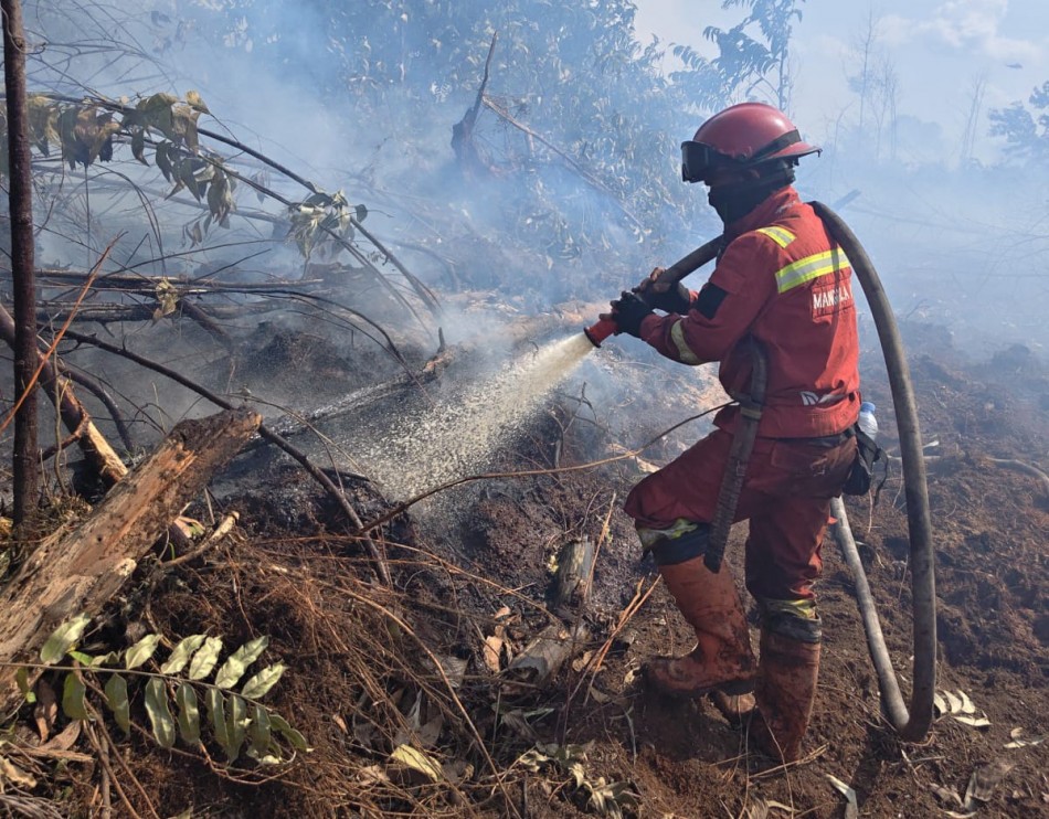 Pasukan Pemadam Kepung Api dari Segala Arah, Karhutla di Bengkalis dan Rohil Menyusut