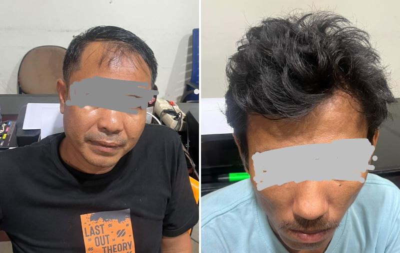 Polres Pelalawan Gagalkan Pengiriman 260 Batang Kayu Ilegal ke Pekanbaru, Dua Supir Truk Ditangkap
