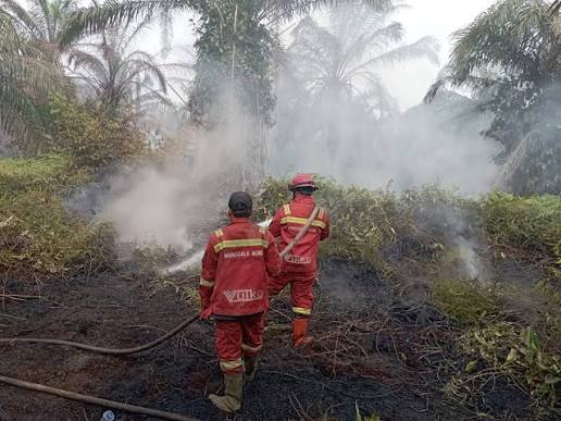Riau Tiga Besar Penyumbang Titik Panas Nasional, BMKG: Puncak Ancaman Karhutla Masih Mengintai