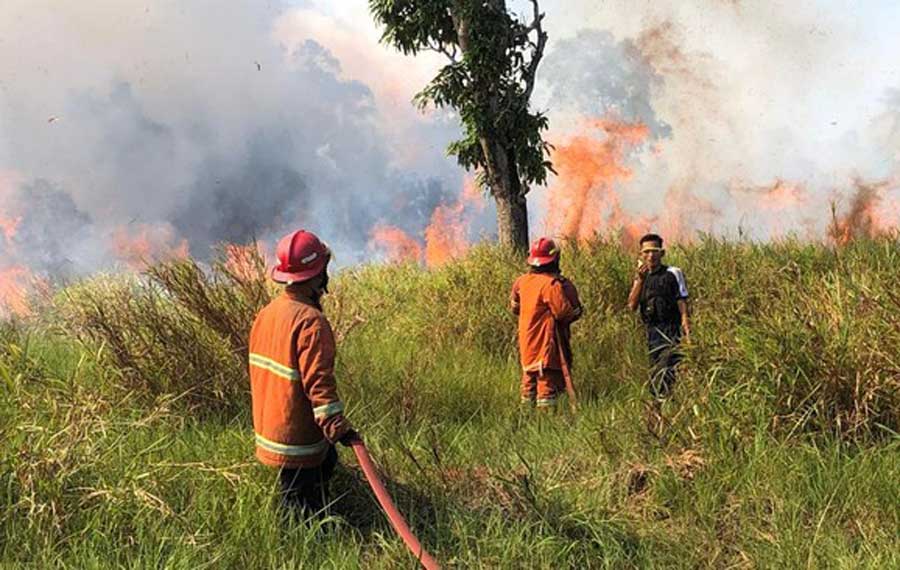 49 Hotspot Masih Tersebar di Lima Daerah di Riau, Pelalawan Terbanyak