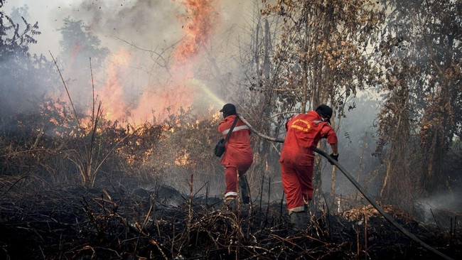 Hotspot Riau Melonjak Jadi 97 Titik, Sebaran Terbanyak di Pelalawan