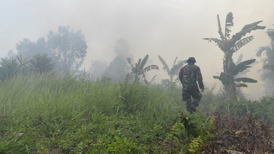 Karhutla Riau Masih Membara, Kerumutan Pelalawan Jadi Titik Paling Mengkhawatirkan