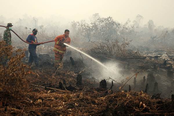 Kemenhut Bekukan Izin 26 Perusahaan Terkait Karhutla, 46 Kasus Masih Berproses