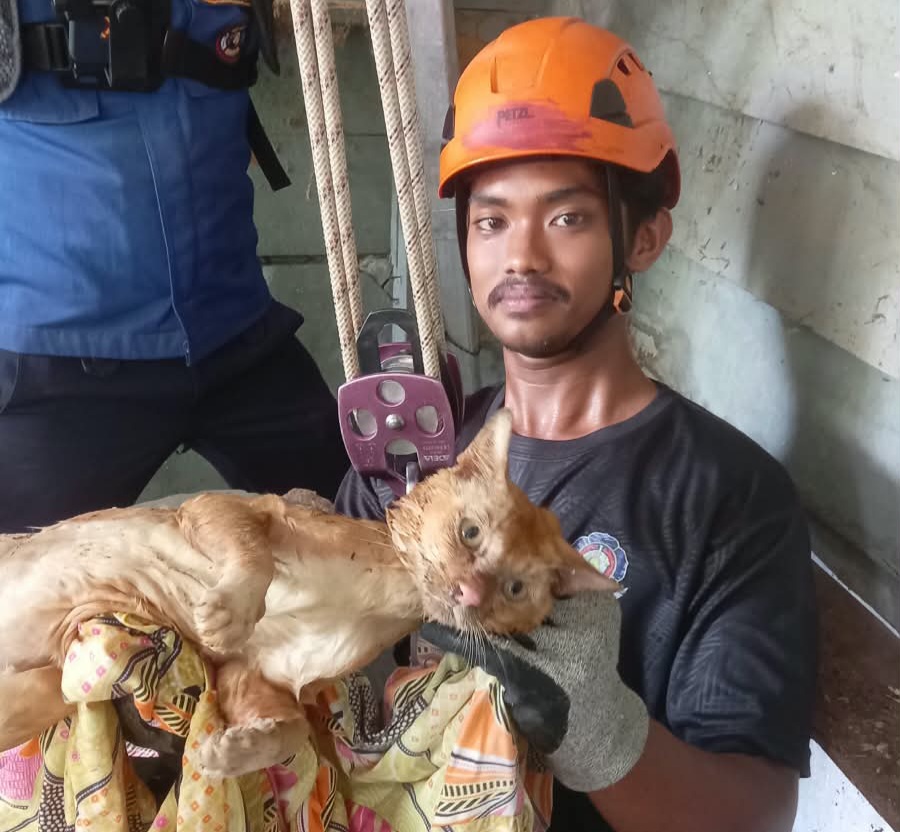 Damkar Pekanbaru Evakuasi Kucing Terjebak di Sumur Sedalam 15 Meter Selama 3 Hari