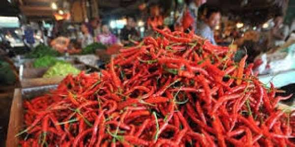 Cabai Merah di Pekanbaru Tembus Rp100 Ribu, Pemko Cari Pasokan dari Aceh dan Sumbar