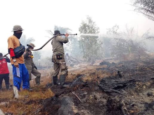 Alokasi Anggaran Rp 30 Miliar untuk Delapan Daerah di Riau Penanganan Karhutla