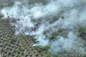 Karhutla Riau Meluas, Kawasan Suaka Margasatwa Giam Siak Kecil Terbakar
