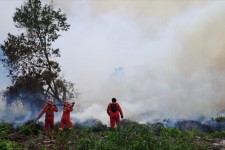 213 Hotspot Terdeteksi, Ancaman Karhutla Besar Bayangi Kabupaten Bengkalis 