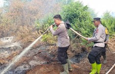 Karhutla Rohil: Lahan Gambut di Panipahan Masih Berasap, Pendinginan Berlanjut