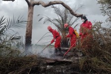 Alarm El Nino 2026 Mulai Menyala, Indonesia Terancam Kemarau Lebih Panjang