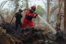 Tiga Hari Berjibaku, Tim Gabungan Berhasil Jinakkan Karhutla Kuala Kampar