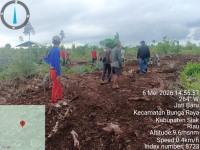 Hutan Muara Dua Kian Tergerus, Dugaan Perambahan Sawit di Bengkalis Tanggungjawab Siapa?