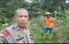Ketahanan Pangan Dimulai dari Lingkungan Terkecil, Polisi Datangi Peternak dan Petani Pekanbaru