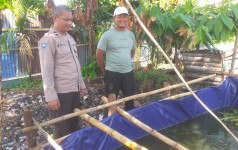 Kolam Lele 150 Meter di Tampan Jadi Contoh Kekuatan Ekonomi Rakyat, Polisi Beri Dukungan Langsung
