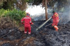 Karhutla Riau Meroket 20 Kali Lipat, Luas Lahan Terbakar 15.318 Hektare dan 92 Persen Gambut!