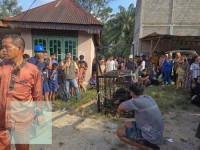 Beruang Madu yang Sempat Resahkan Warga Kerumutan Kini Kembali ke Habitat Alaminya