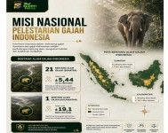 Misi Besar Polda Riau Selamatkan Gajah Indonesia Lewat Green Policing