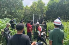 Konflik Manusia dan Harimau di Pelalawan, Pemprov Riau Keluarkan Imbauan Untuk Warga