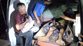 Teror Harimau Makin Mengkhawatirkan, Empat Serangan dalam Sebulan, Terbaru Pekerja di Siak Luka Parah