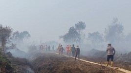 Wartawan Lokal Dilarang Liput Kunjungan Prabowo ke Lokasi Karhutla Kampar