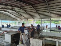 Relokasi 450 Pedagang Pasar Teratai ke Pasar Higienis Pekanbaru Dimulai