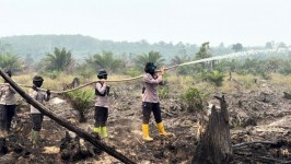 Menjelang HJP ke-78 Polwan, Srikandi Polda Riau Turun ke Garis Depan Karhutla