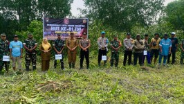 Semarakkan HUT Ke-81 TNI: ‎Rohil Tanam 1 Juta Pohon Serentak, Dipusatkan di Kelurahan Teluk Merbau