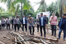 Kejahatan Lingkungan di Rupat: Hutan Mangrove Dibabat Jadi Arang, Kapolda Riau Turun Tangan