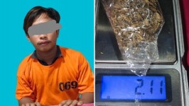 Digerebek di Kos-kosan Pangkalan Kerinci, Pria 24 Tahun Diciduk dengan Ganja