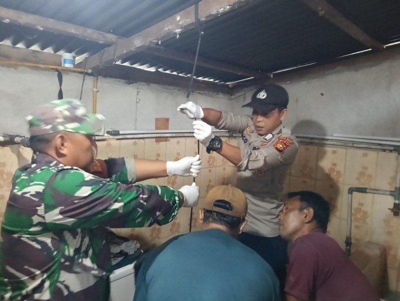 Gambar Artikel