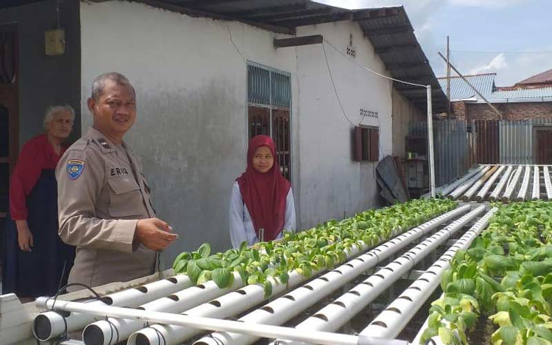 Gambar Artikel