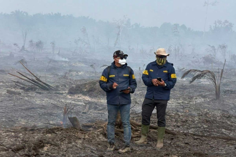 Gambar Artikel