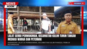 Warga Resah Diserbu Lalat, Pemerintah Turun Cek Peternakan Ayam