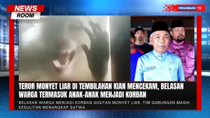 Teror Monyet Liar Belum Berakhir, Korban Terus Bertambah